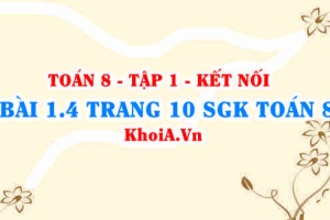 Bài 1.4 trang 10 SGK Toán 8 tập 1 Kết nối tri thức